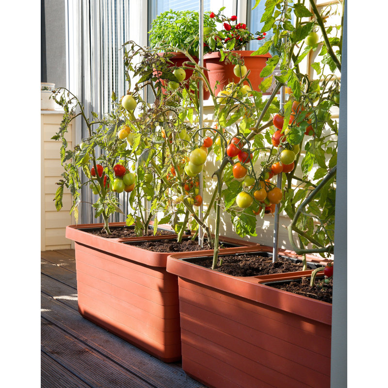 Kanisha Planter Box, Terra Cotta