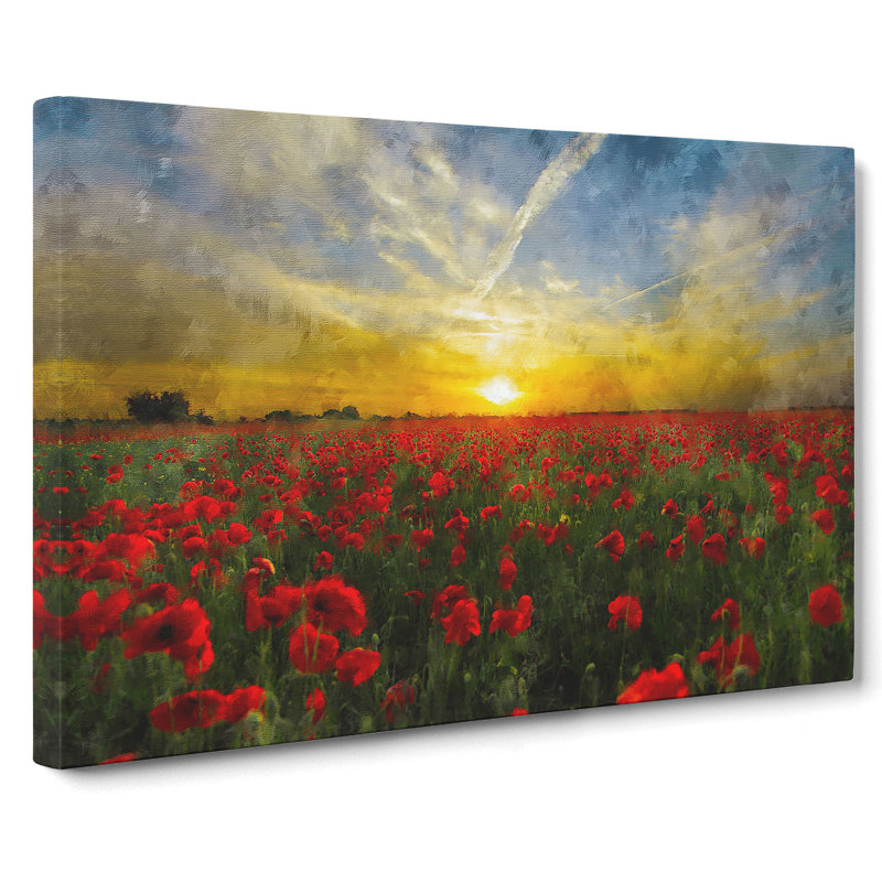 Field Of Poppies Vol.3 - Wrapped Canvas, 35cm H x 50cm W x 3cm D