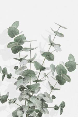 Wrapped Canvas Print, 76.2 cm H x 50.8 cm W