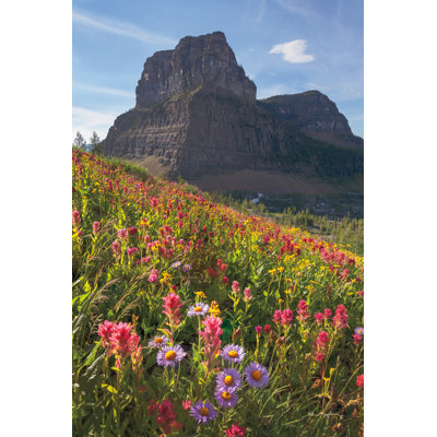 Boulder Pass Wildflowers 1 Piece Wrapped Canvas Wall Art