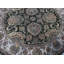 Wool Oriental Area Rug