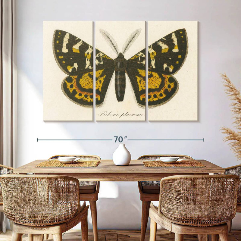 Brampt Natures Butterfly V, 24" H x 38" W