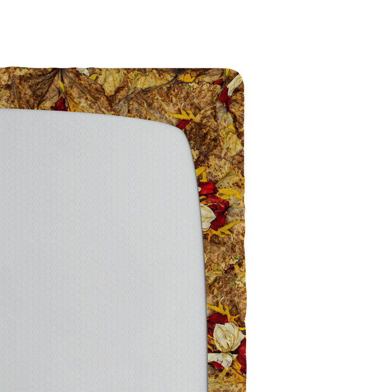 Drap-housse Ambesonne