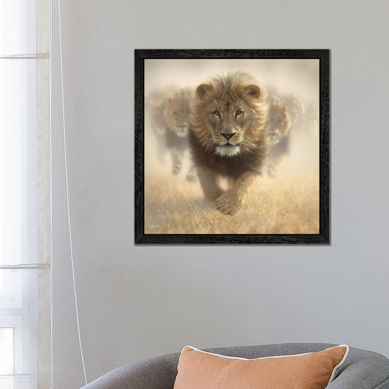 Eat My Dust - Lion, Square by Collin Bogle - Floater Frame Print on Canvas, 45.72 cm H x 45.72 cm W, Black