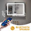 Laymoune Flat Wall Mirror