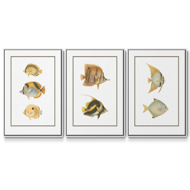 Ensemble de 3 pièces de poissons tropicaux antiques I encadrés sur toile, Blanc, H 40 po x l 78 po