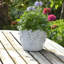 Sagebrook Home 7" Floral Applique Planter, White-358384830-358384831
