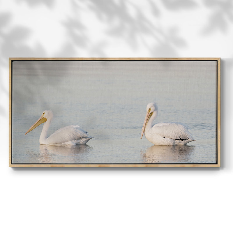 Pelican Pals - Toile tendue avec châssis encadré - Prêt à être accroché, Natural, 17" H x 33" W