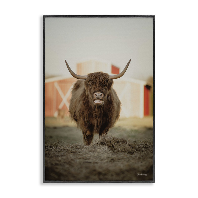 Bétail sur un champ de ferme, estampe numérique de Dakota Diener, Giclée encadrée noir minuit, H 18 po x l 12 po