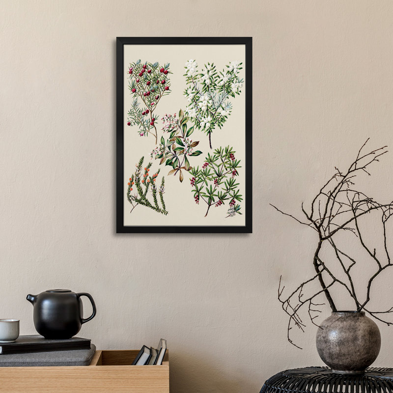 Fleurs antiques - reproduction d'art mural - affiche de galerie, H 32 po x l 24 po