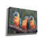 «Bay Isle Home ™», 3 Macaws2 par David Stribble, art mural sur toile-353265630