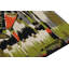 One-of-a-Kind 3’5”x5’6” Area Rug