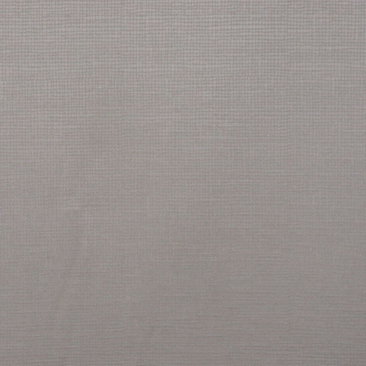 Allure Fabric, Champagne