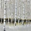 «Winter Forest Landscape», art contemporain sur toile de chambre à coucher