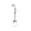 Milsom Thermostatic Shower with Dual Shower Head-1777303932