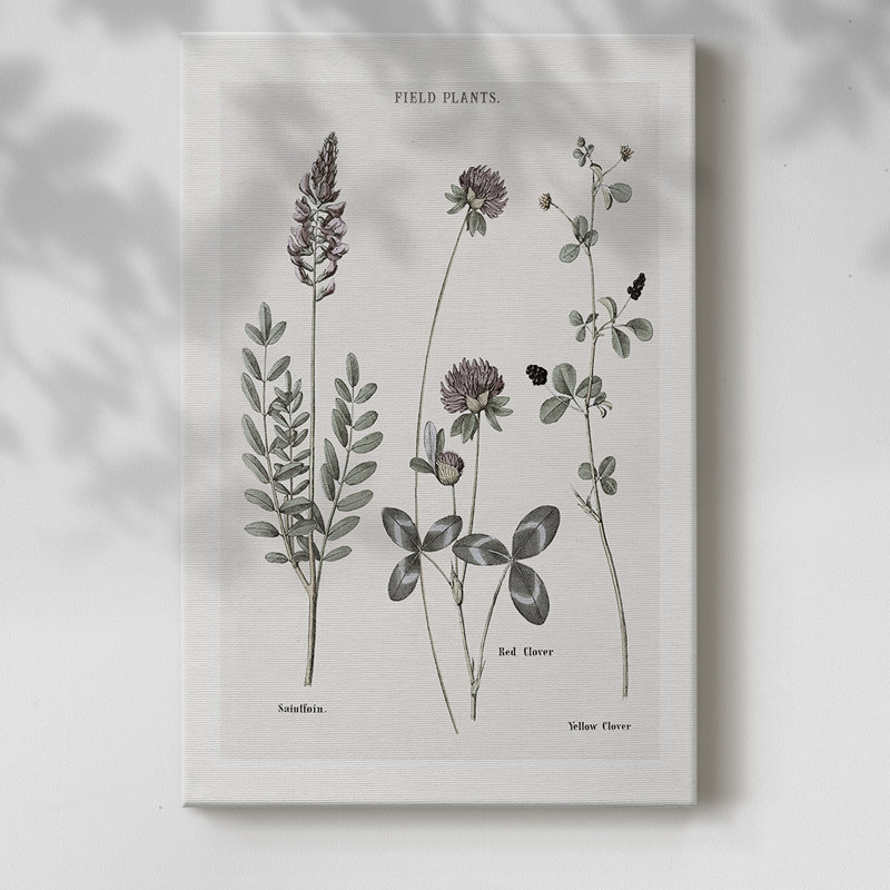 Multi Botanical II - Cavas enveloppés de galerie, H 18 po x l 12 po