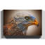 Red Kite Bird Photographic - Wrapped Canvas-19091686