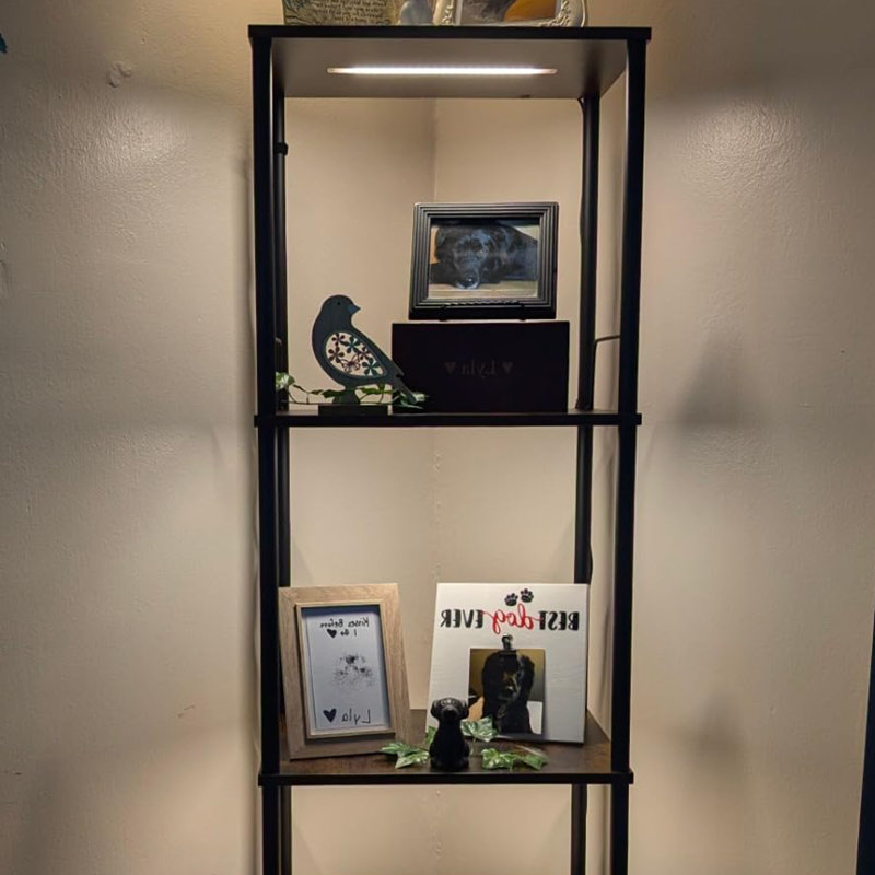 Brown Lighted Display Cases, Adjustable Colour Temperature,Brightness, Brown