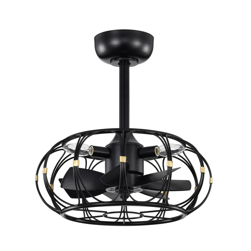 Ventilateur de plafond lumineux en cage Eoin avec télécommande 7 pales Fandelier, Noir mat, Noir mat