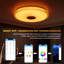 1-Light Flush Mount