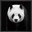 Panda, portrait, animaux, photographie, art moderne, rustique, gros plan, dramatique, noir et blanc, reproduction d'art sur toile-1460927013-1460927012