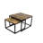 Quanah 2 Piece Coffee Table Set