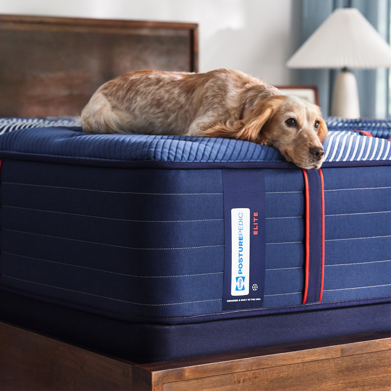 Sealy Posturepedic® Elite Albany II 14" Firm Tight Top Innerspring Mattress, California King