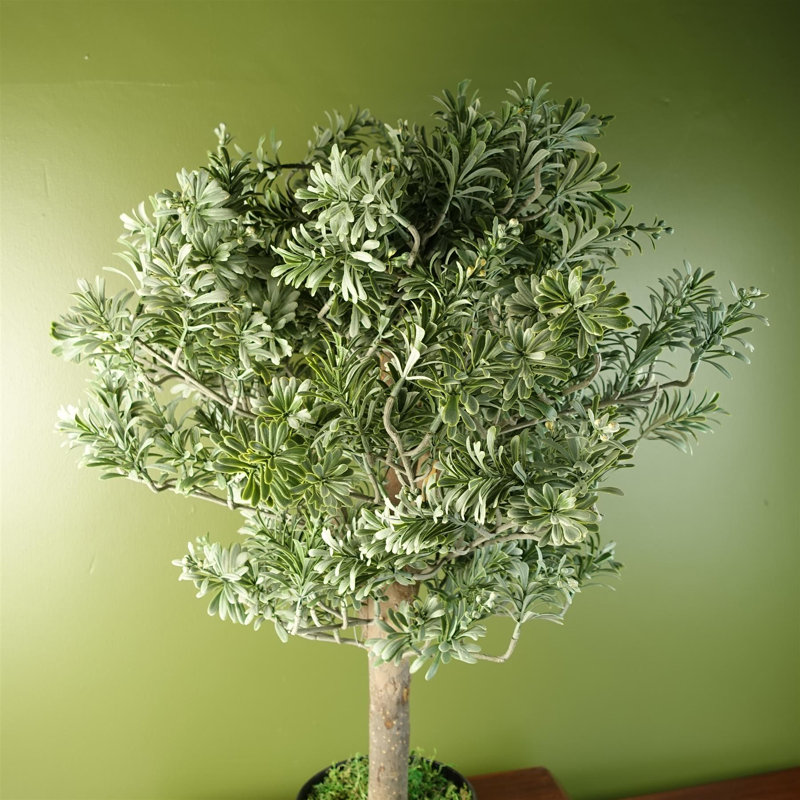 70cm Faux Evergreen Plant in Pot Liner