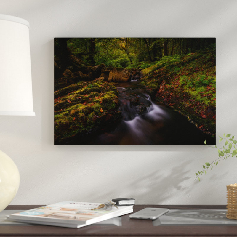 «Forest Treasures», reproduction de photo sur toile, H 8 po x l 12 po x P 0,75 po, Toile tendue, Pas de tapis