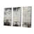 Toile tendue