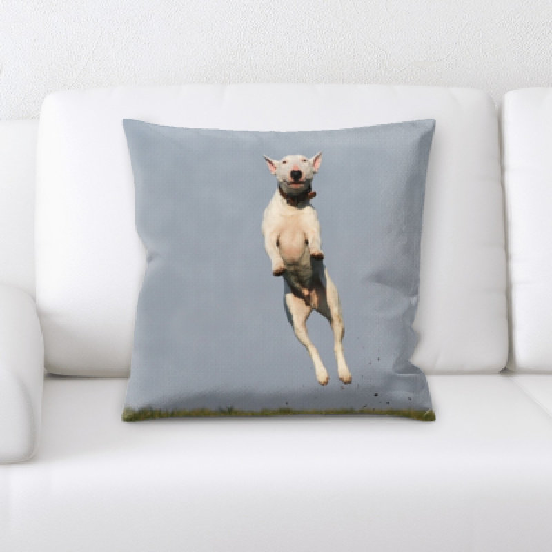 Aiden Microsuede Reversible Throw Pillow