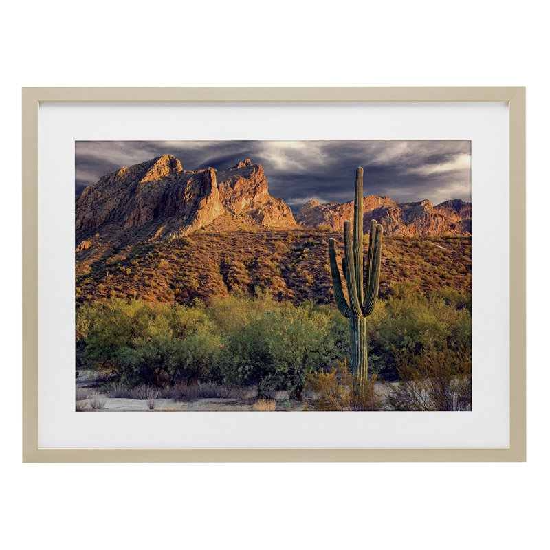 «Tall And Strong Cactus View», reproduction encadrée sous verre, conception de Mike Jones, Cadre de récolte en pin