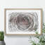 Pink Rose Flower Vol.3 - Picture Frame Drawing-62804211-62804212