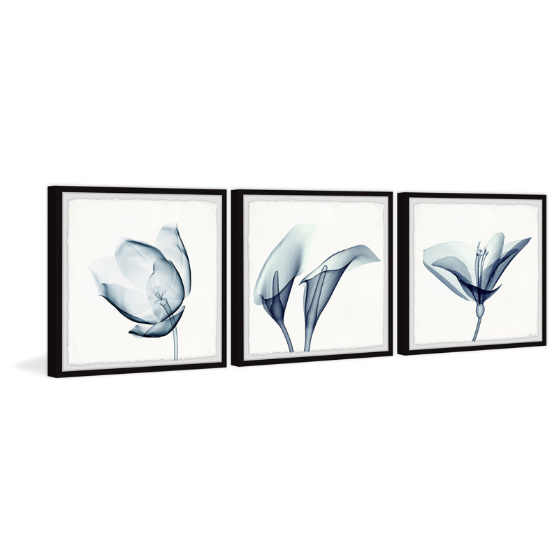 Dream Big Dreams by Marmont Hill - 3 Piece Single Picture Frame Painting Set, 41cm H x 41cm W x 3.81cm D