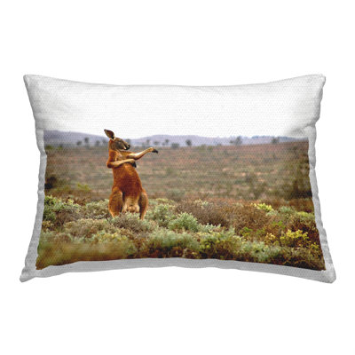 Polyester Lumbar Rectangular Indoor/Outdoor Pillow Cover & Insert by Andrey Glijov