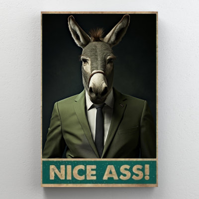 Donkey Nice Ass