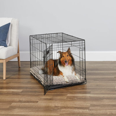 Newly Enhanced Single Door Icrate Dog Crate, Includes Leak-Proof Pan, Floor Protecting Feet , Divider Panel & New Patented Features, Black