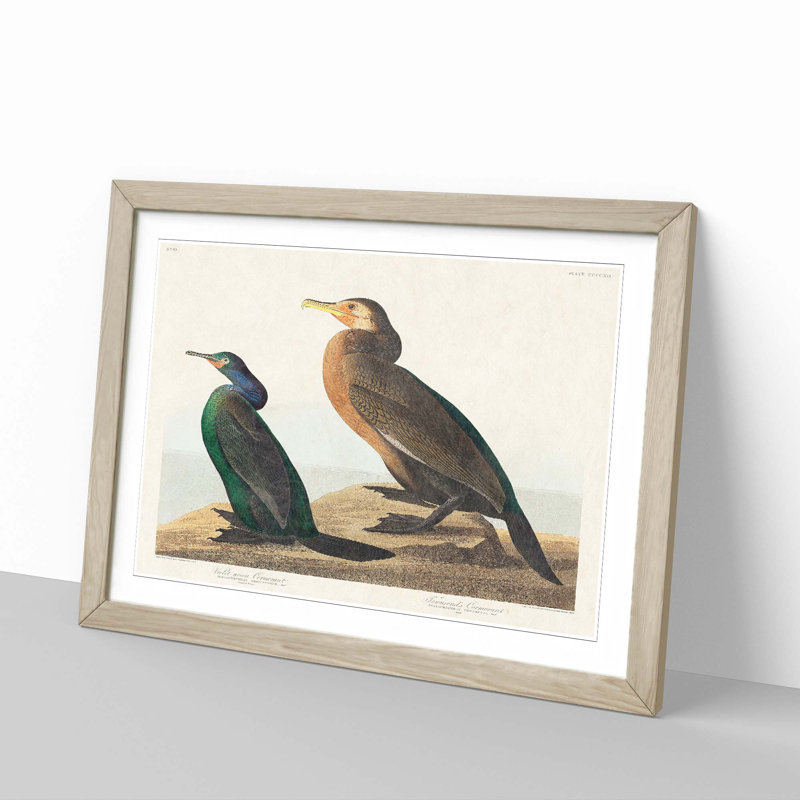 Cormorant Birds by John James Audubon - Picture Frame Painting Print, Oak Framed, 48cm H x 65cm W x 2cm D