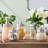 Mason Jar 5-Piece Bathroom Set with Toothbrush Holder, Soap Dispenser, Canister, & 2 Small Jars-171285981