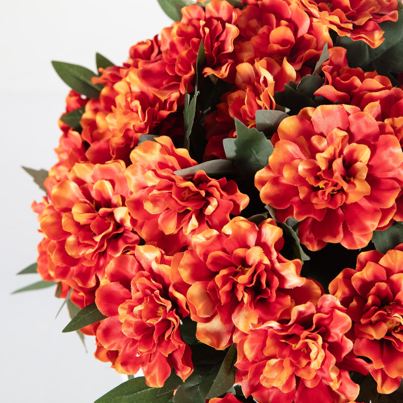 Arrangement de souci en pot