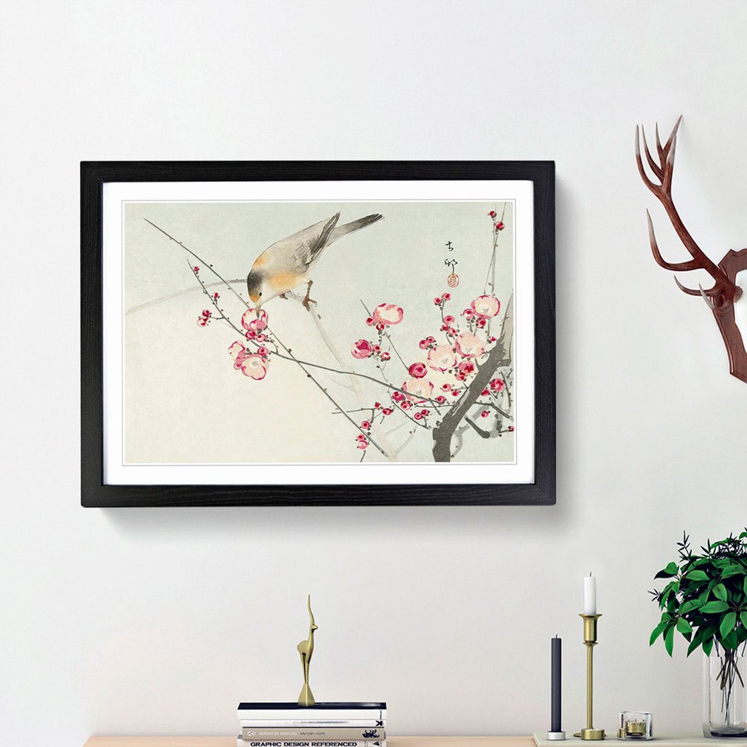 Songbird on a Blossom Branch by Ohara Koson - Framed Print