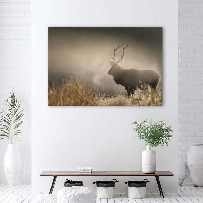 Deer in the Foggy Nature 1 Piece Wall Art on Canvas, 60cm H x 90cm W