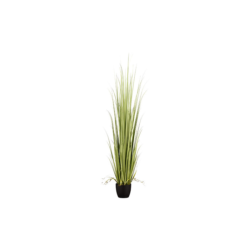 84 INCH REED GRASS IN POT GR/LT