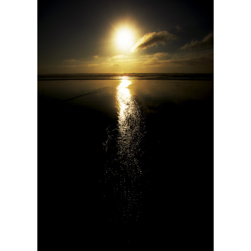 Sun Tail Print by Catherine Johns, 20" H x 16" W