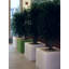 Cubotti Planter-1564440935-1564440933