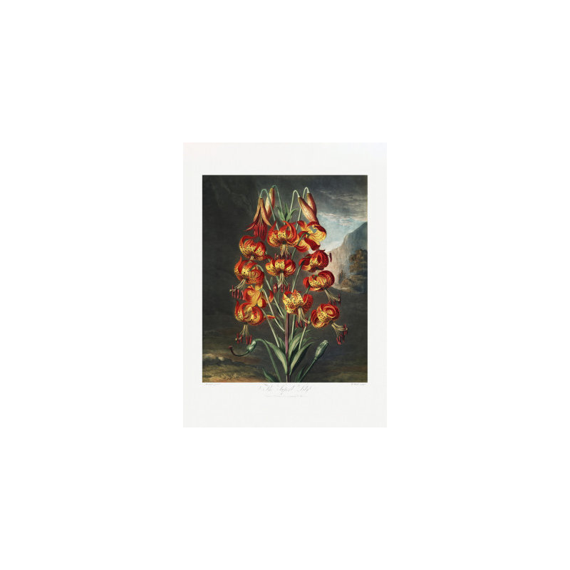 Wrapped Canvas Print, 76.2 cm H x 50.8 cm W