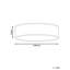 Magno Flush Mount