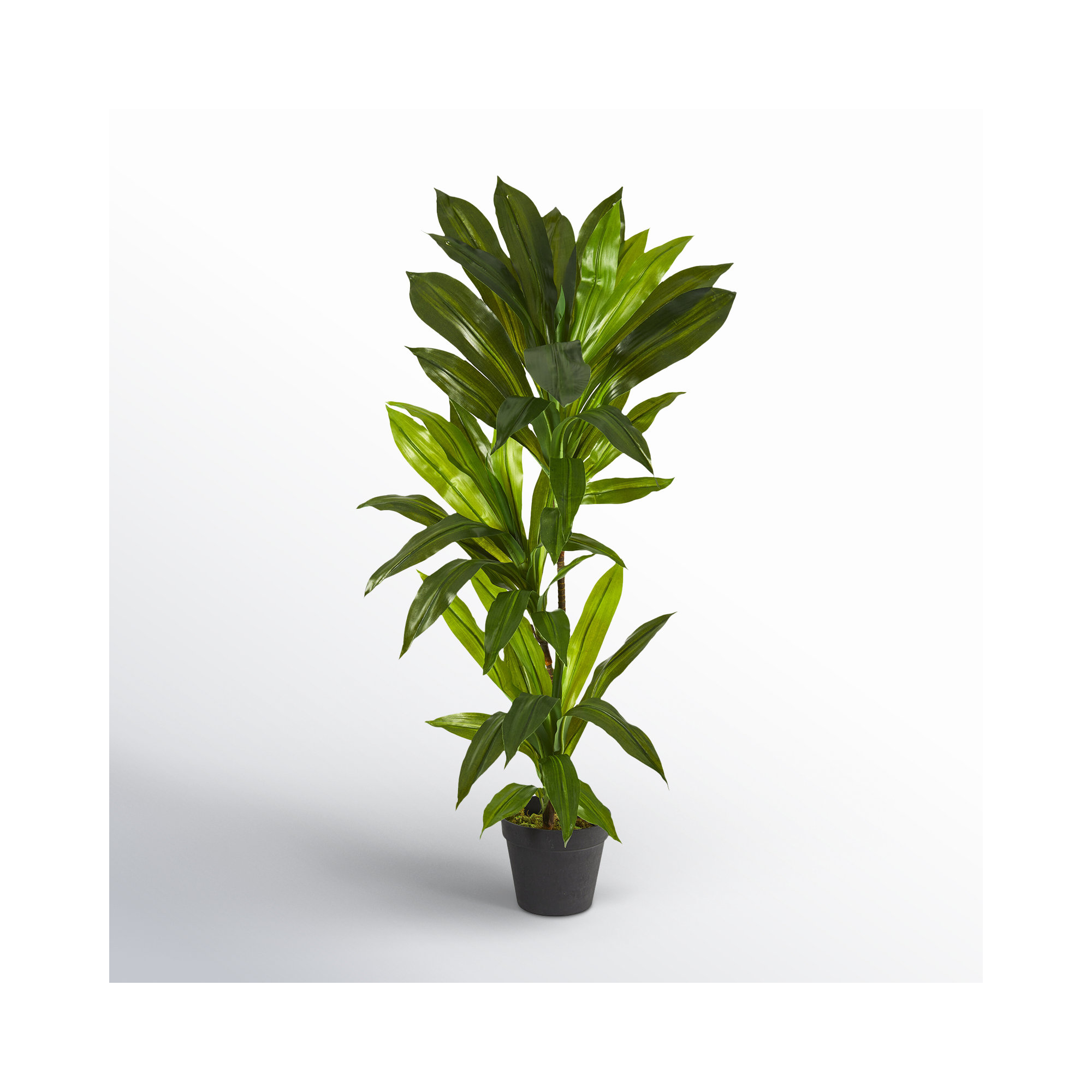 Faux Plant in Pot Liner, 36" H x 13" W x 13" D