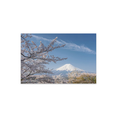 Le printemps au Japon XXV