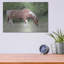 «Assateague Horse» par Lori Deiter-101616472